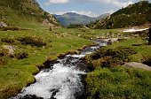 L'incontaminata Valle del Sellero nella splendida giornata del 14 giugno 2009  - FOTOGALLERY